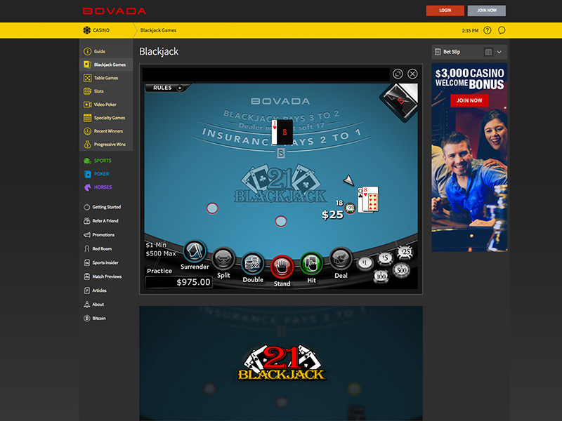 Bovada Online Casino Review