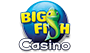 Big Fish Logo 